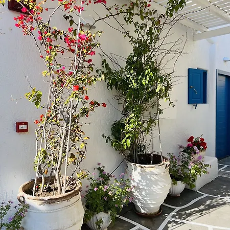 Portobello Boutique מלון Mykonos Town