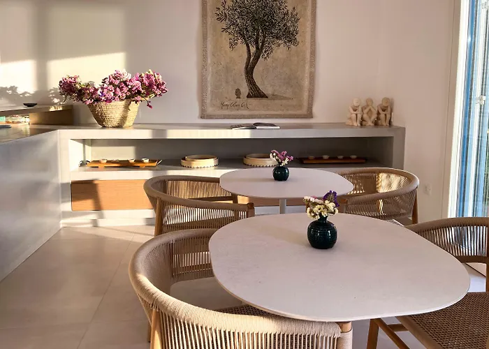 酒店 波罗贝德精品酒店 Mykonos Town